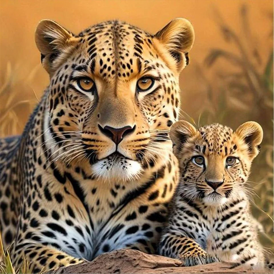 5D Diamond Painting - Leopard