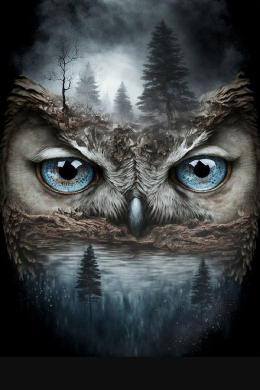 5D Diamond Painting - Eulen