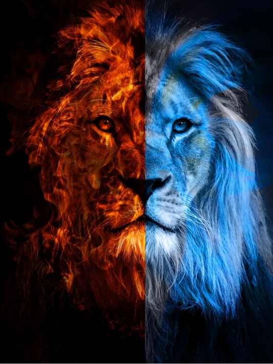 5D Diamond Painting - Eis und Feuer Löwe