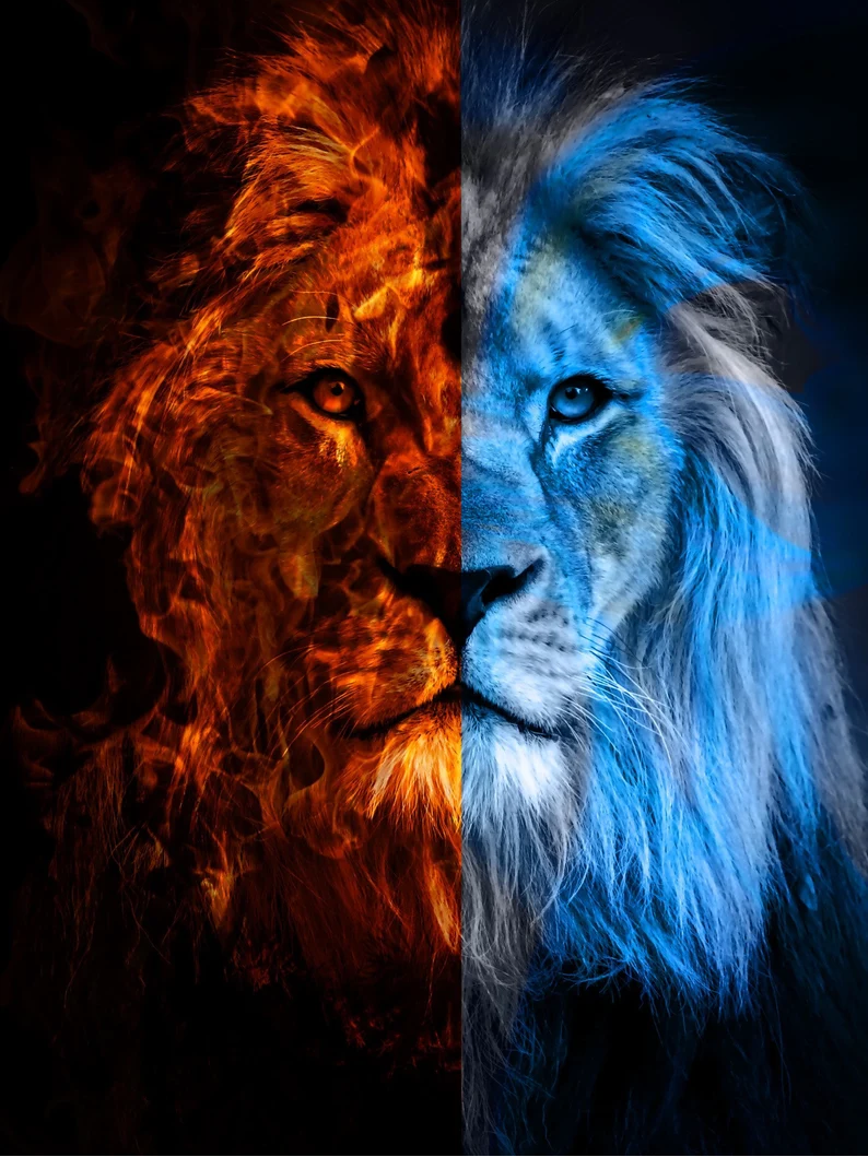 5D Diamond Painting - Eis und Feuer Löwe