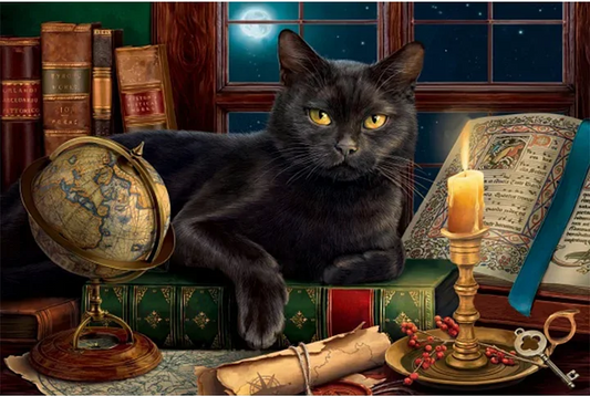 5D Diamond Painting - Katze im Arbeitszimmer